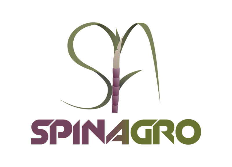 Rodrigo Spina